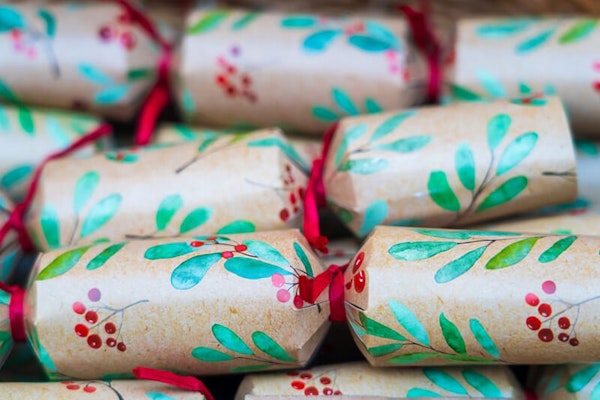 Keeping dog stress-free at Christmas