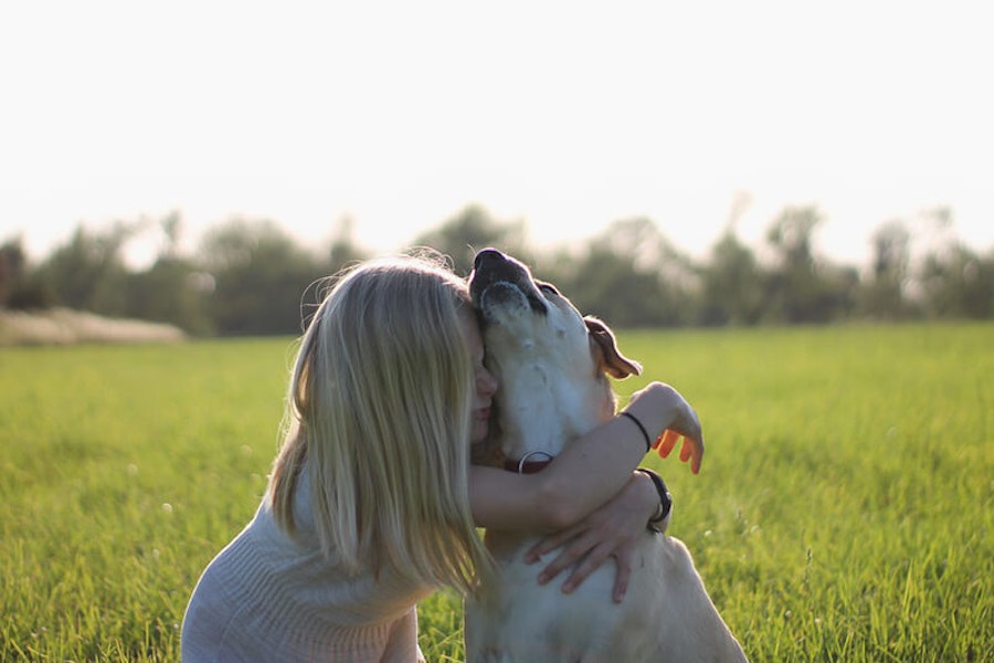 Best family dog breeds