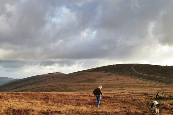 Pembrokeshire dog walk Preseli Hills