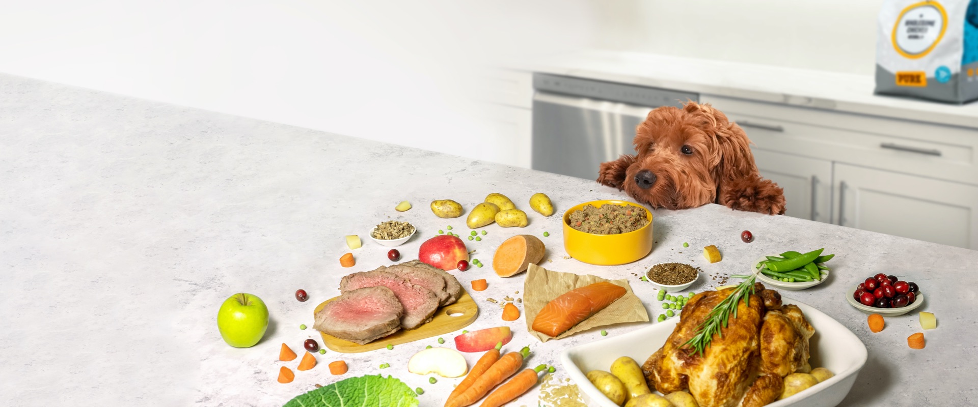 Tailored Healthy Dog Food Delivery Pure Pet Food UK