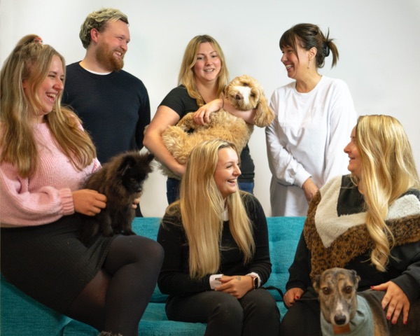 shop-online-dog-food-delivery-uk-pure-pet-food