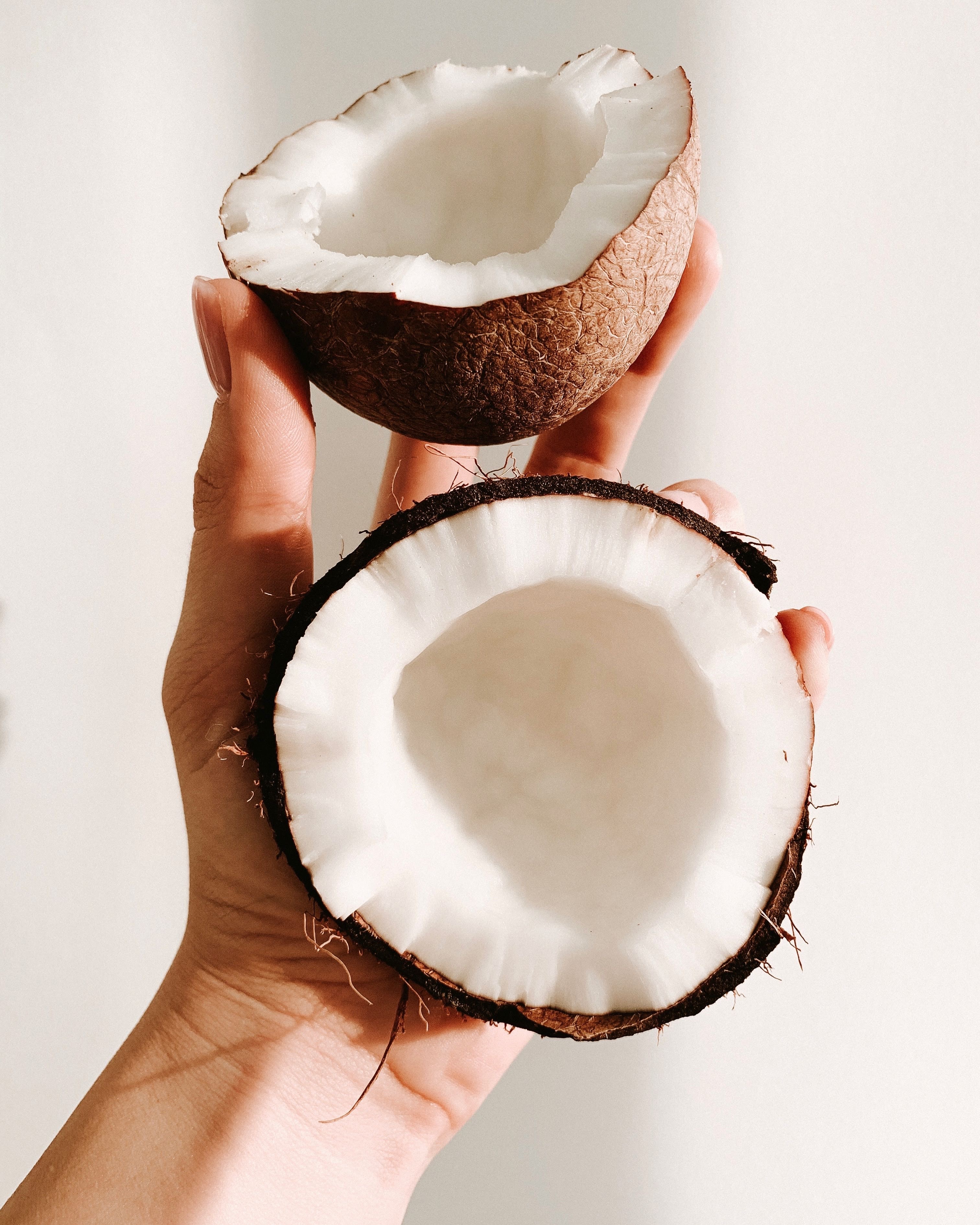 Are Coconut Husks Bad For Dogs