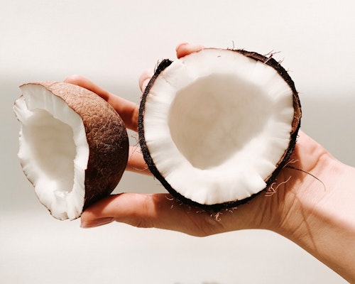 Can dogs eat coconut?