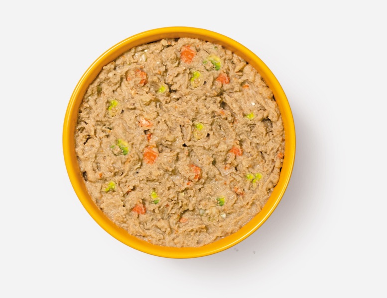 Should I Add Water Dog Food