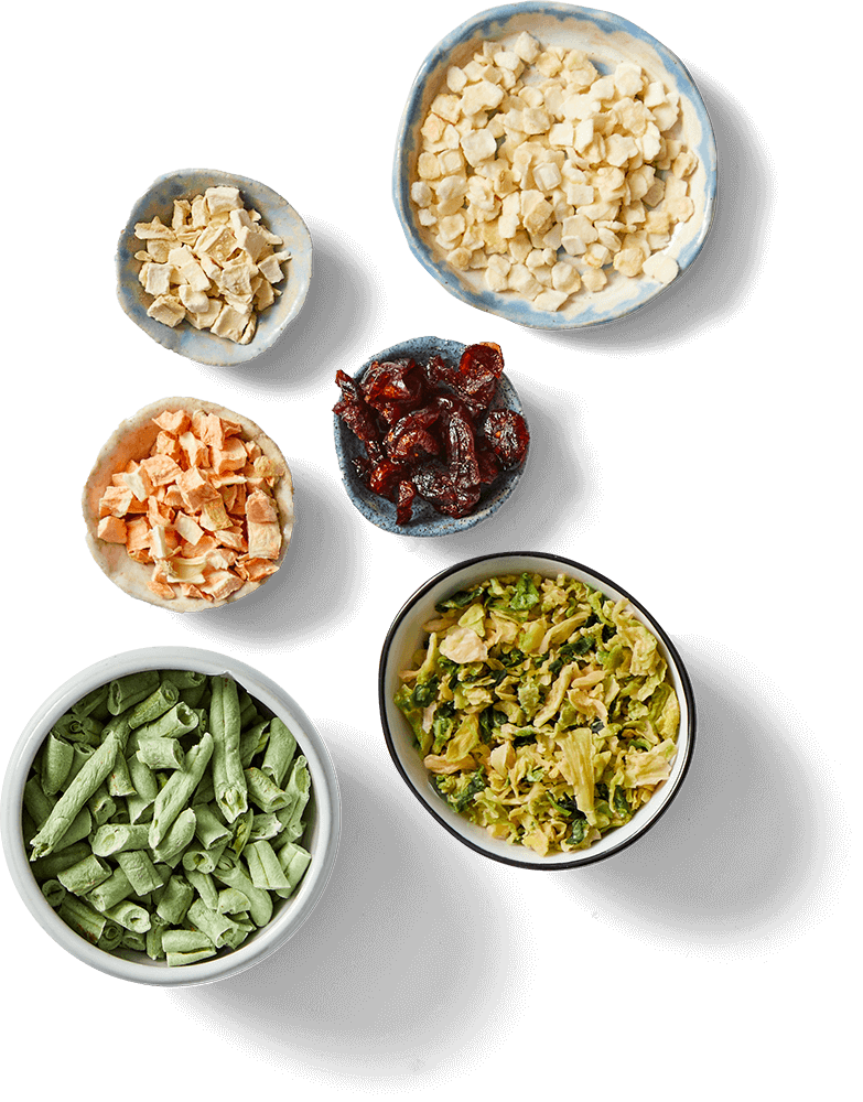 Dehydrated dog food