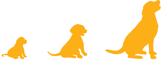healthy-puppy-food-natural-puppy-dog-food-uk-pure-pet-food