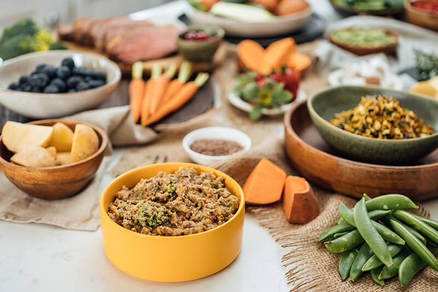 Is raw food the best food for dogs?