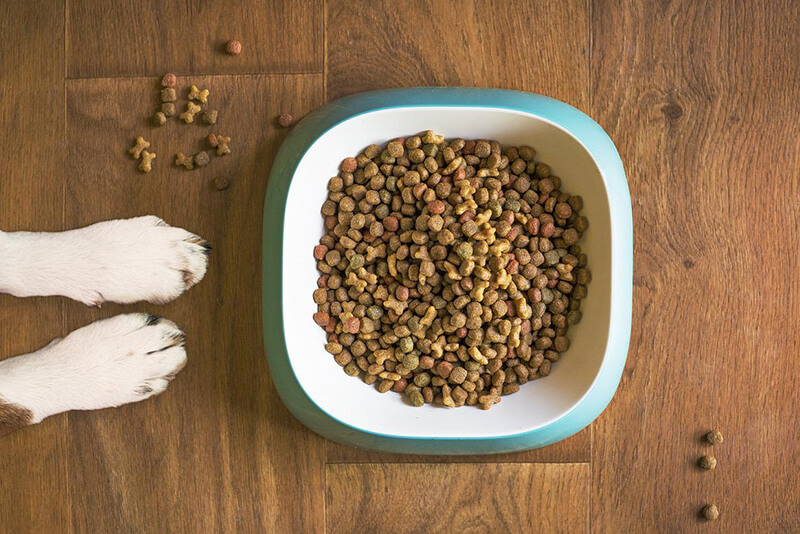What Is Better Wet Or Dry Dog Food
