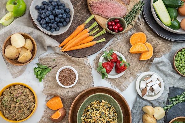 Why does tailored dog food matter