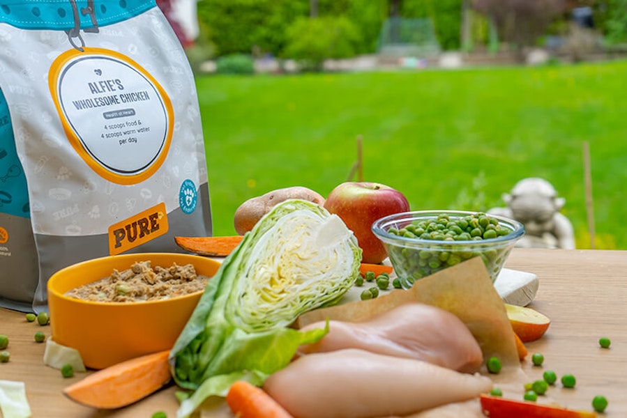 What makes a healthy diet for dogs
