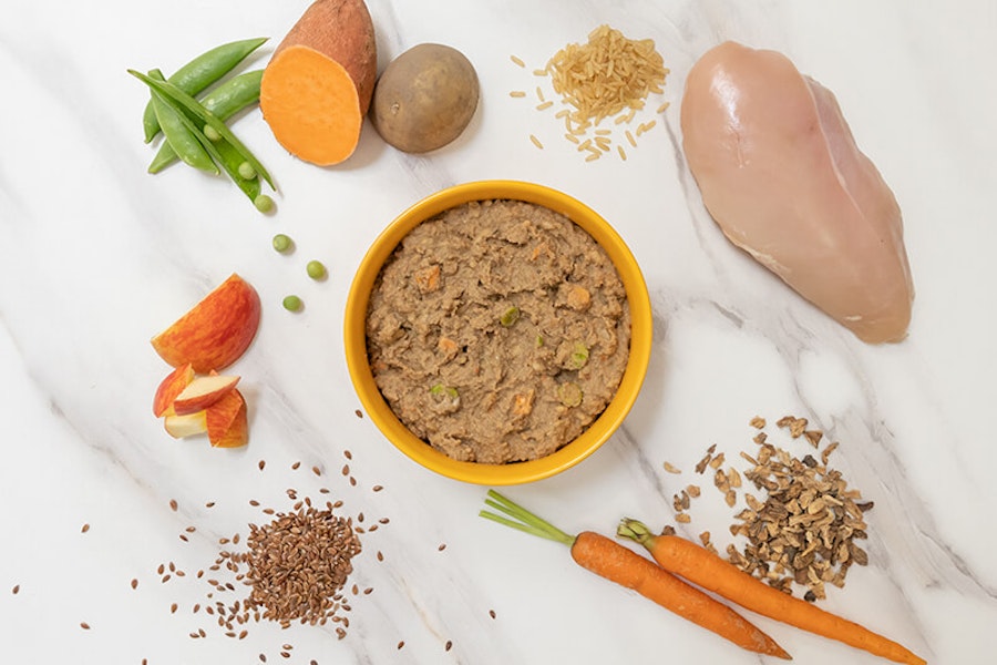 What Is The Best Diet For Dogs Pure Pet Food what-is-the-best-diet-for-dogs-pure-pet-food