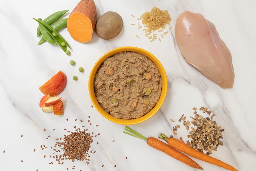 What is the best diet for dogs?