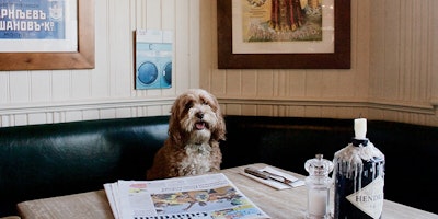 Richmond dog friendly pubs