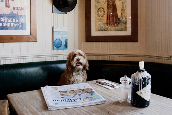 Richmond dog friendly pub Brown Dog