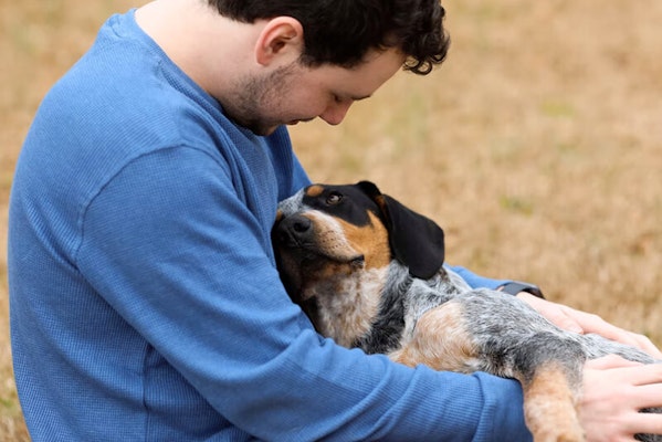 How to tell if your dog loves you