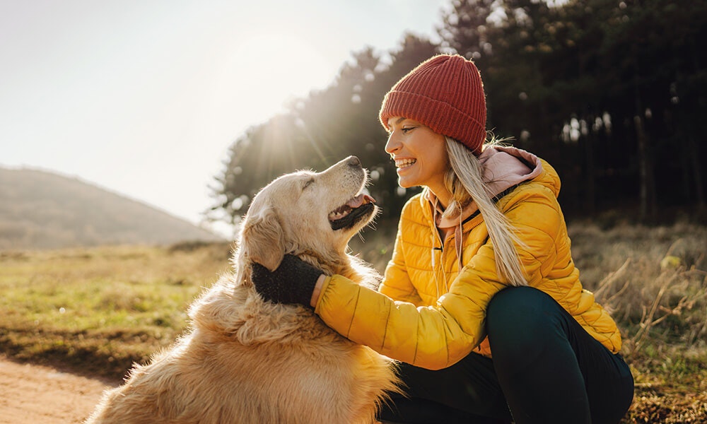 Tailored dog food delivery