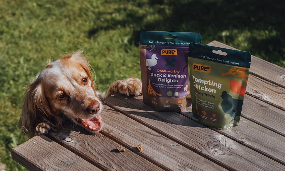 Dog food and treats subscription
