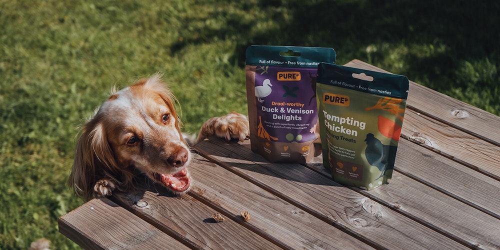 Dog food and treats subscription