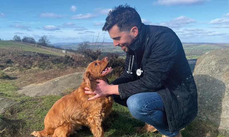 Dr Andrew Miller MRCVS on kidney disease dog food