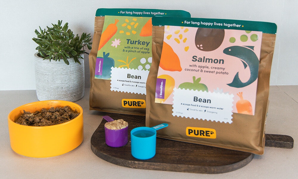 Turkey with tasty veggies & sweet strawberries - Pure Pet Food