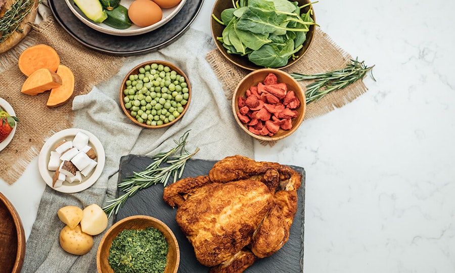 Chicken dog food subscription