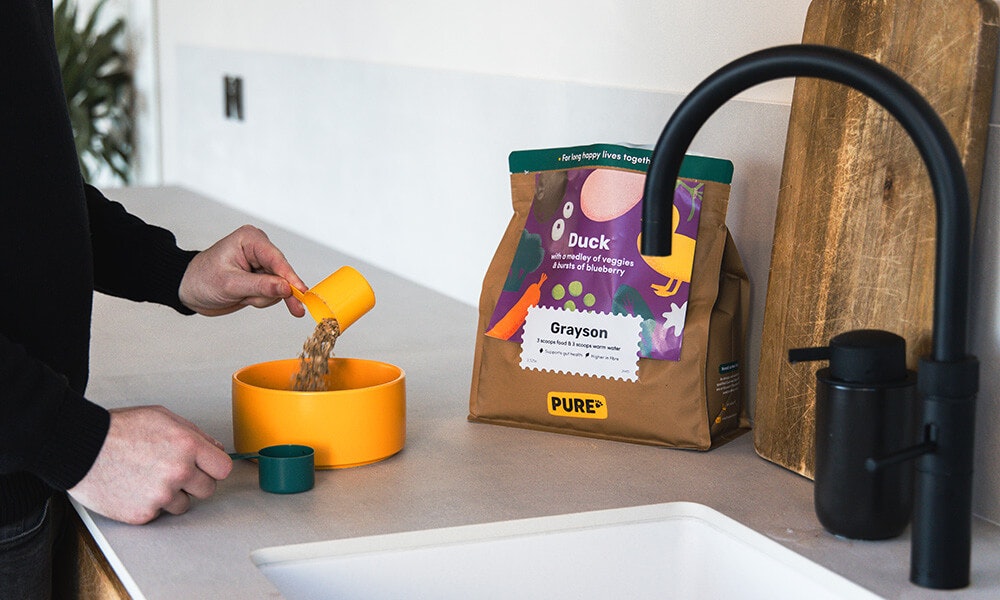 Duck dog food with a medley of veggies and bursts of blueberry - Pure