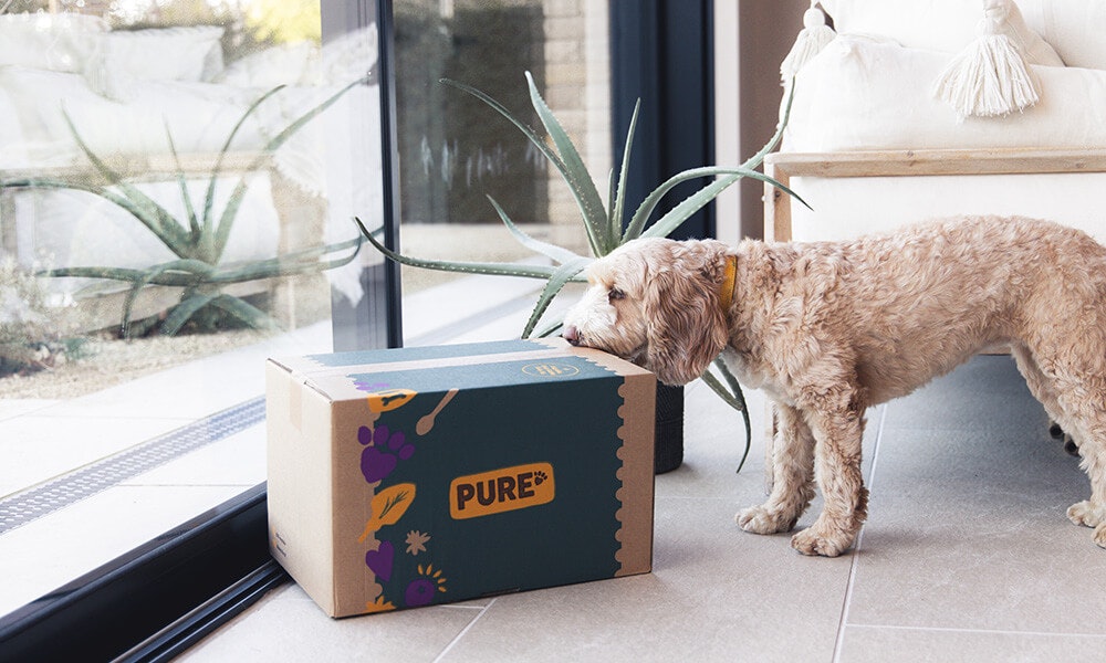 Duck dog food with a medley of veggies and bursts of blueberry - Pure