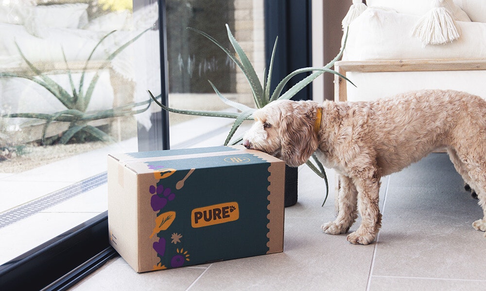 Monthly turkey dog food