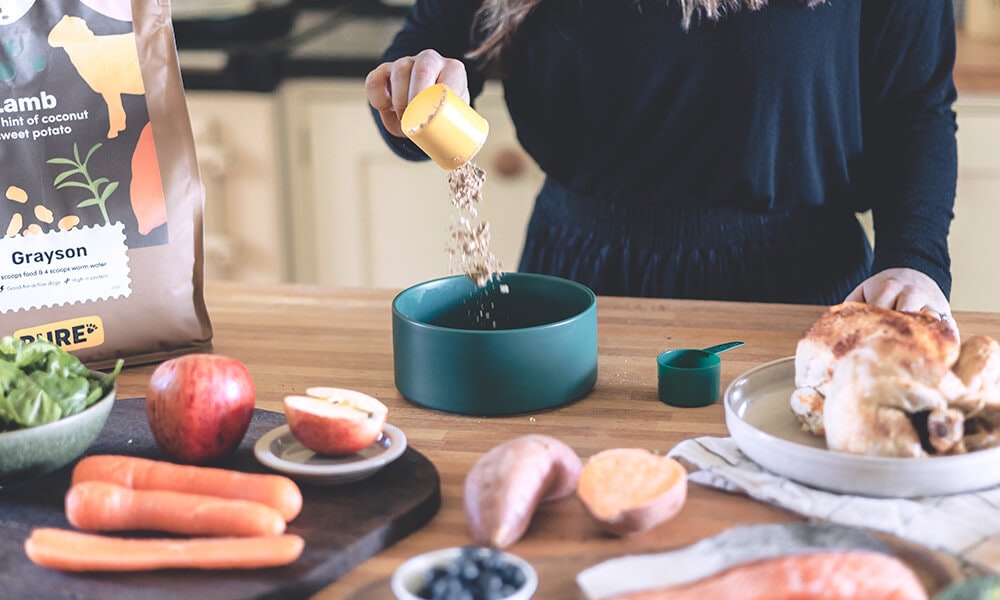 Colitis Dog Food | Best Dog Food For Colitis - Pure Pet Food