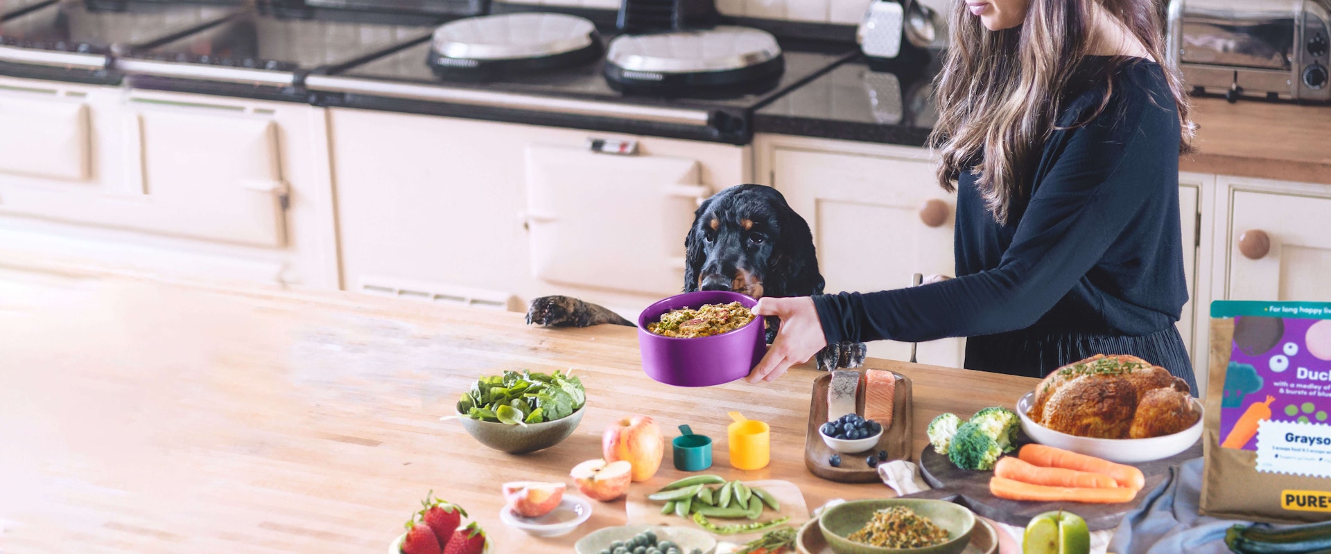 Hypoallergenic dog food