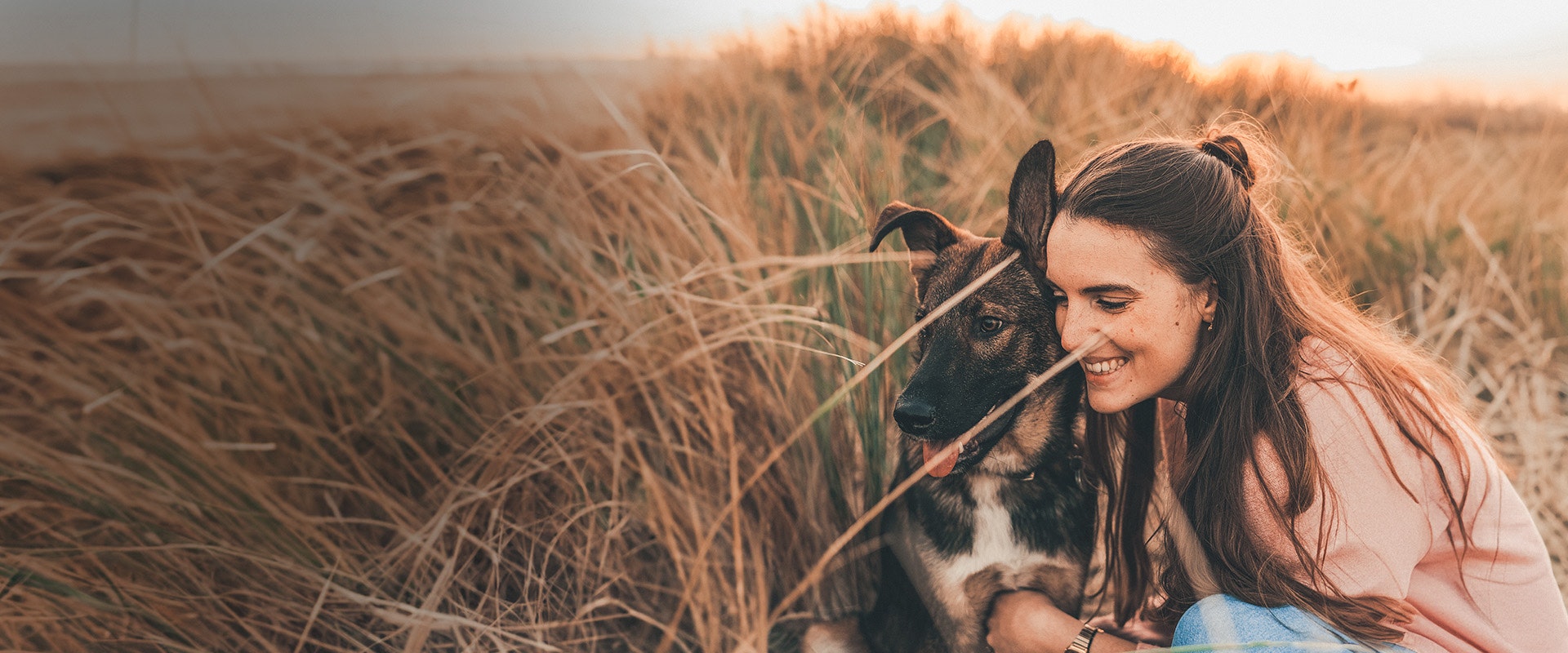 German shepherd food