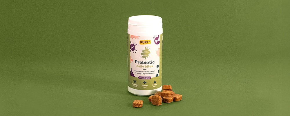 Probiotic supplement