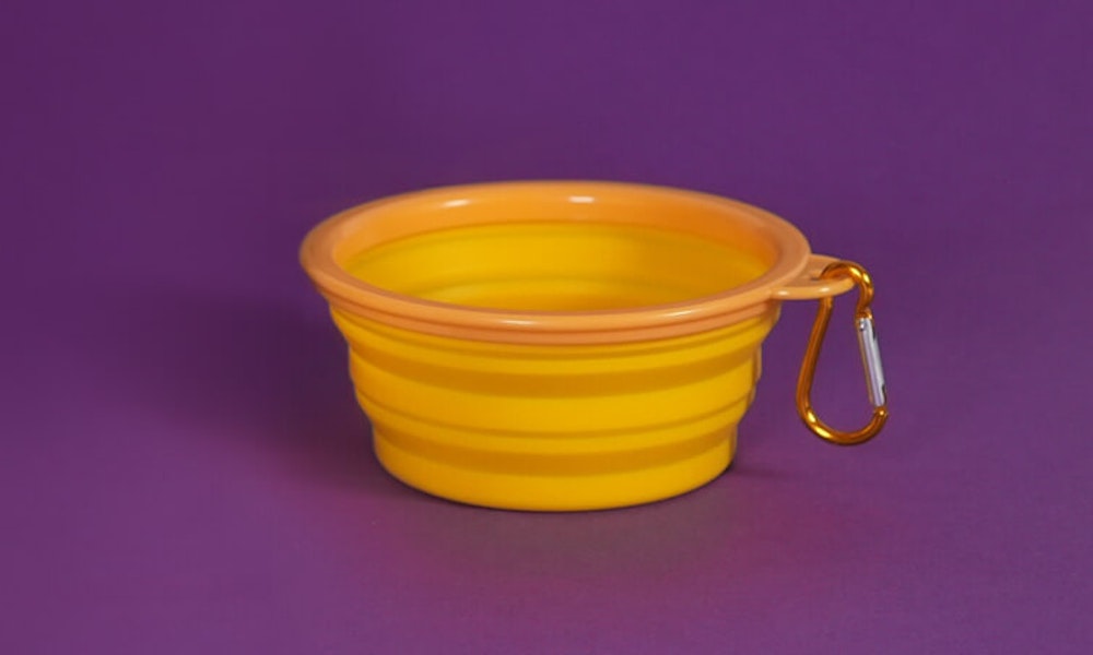 Collapsible Bowl Pure Pet Food collapsible-bowl-pure-pet-food