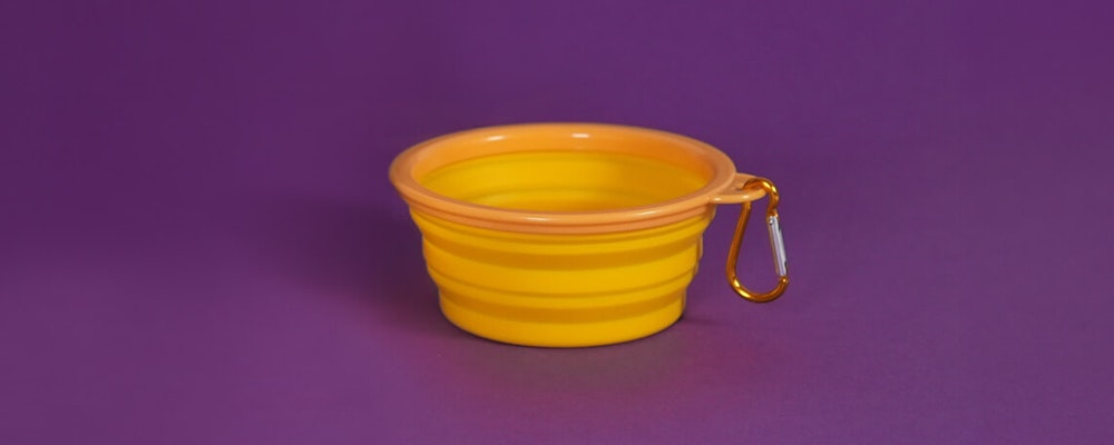 Collapsible Summer Bowl
