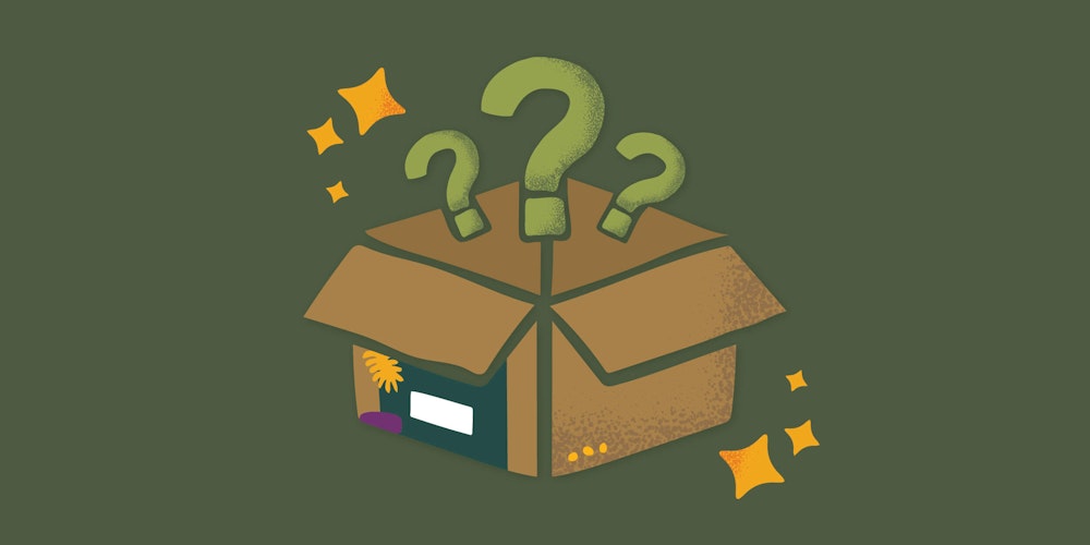 Mystery bundle
