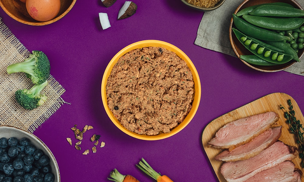 Illustration of No Grain Duck Dog Food For Clean