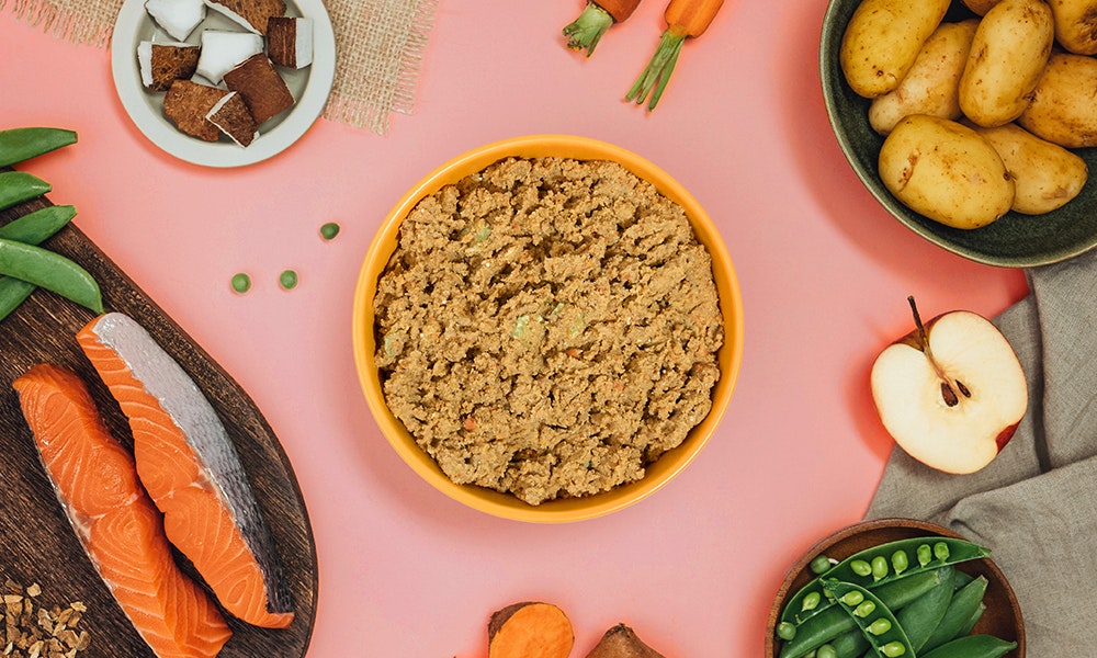 photo of Pure sensitive salmon meal