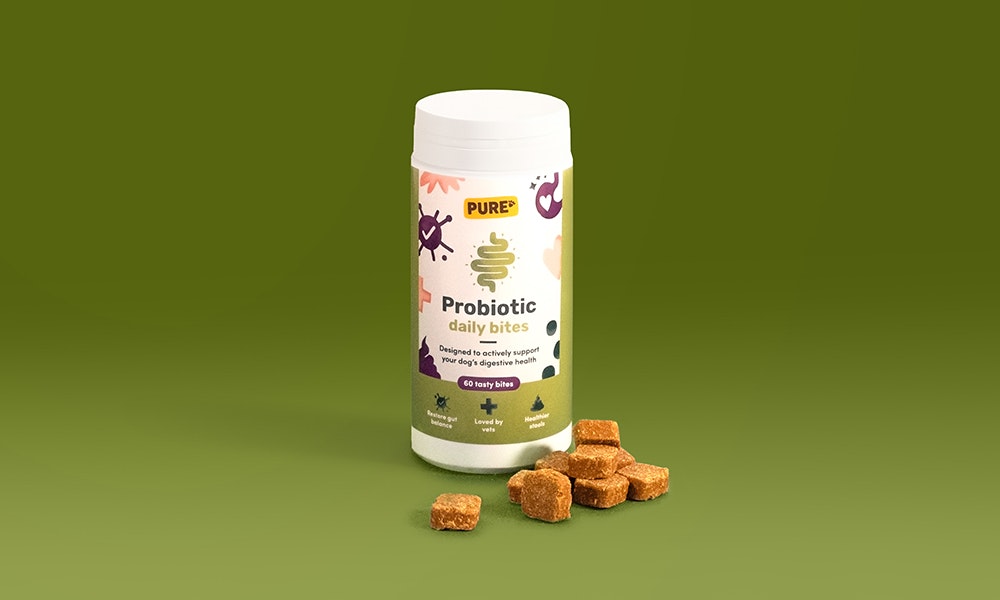 Probiotic daily bites