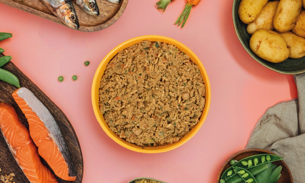 Zalm Witvis recept