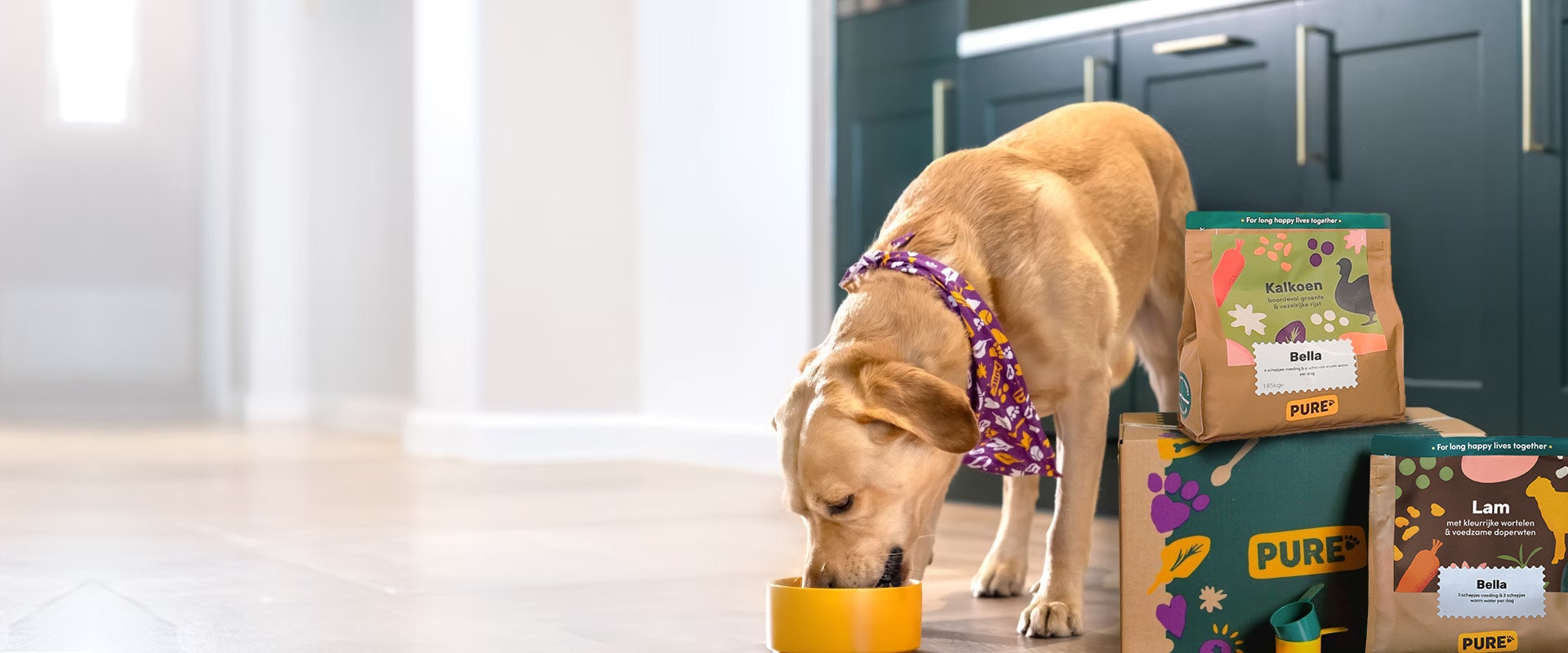 Fred eet Pure hondenvoer
