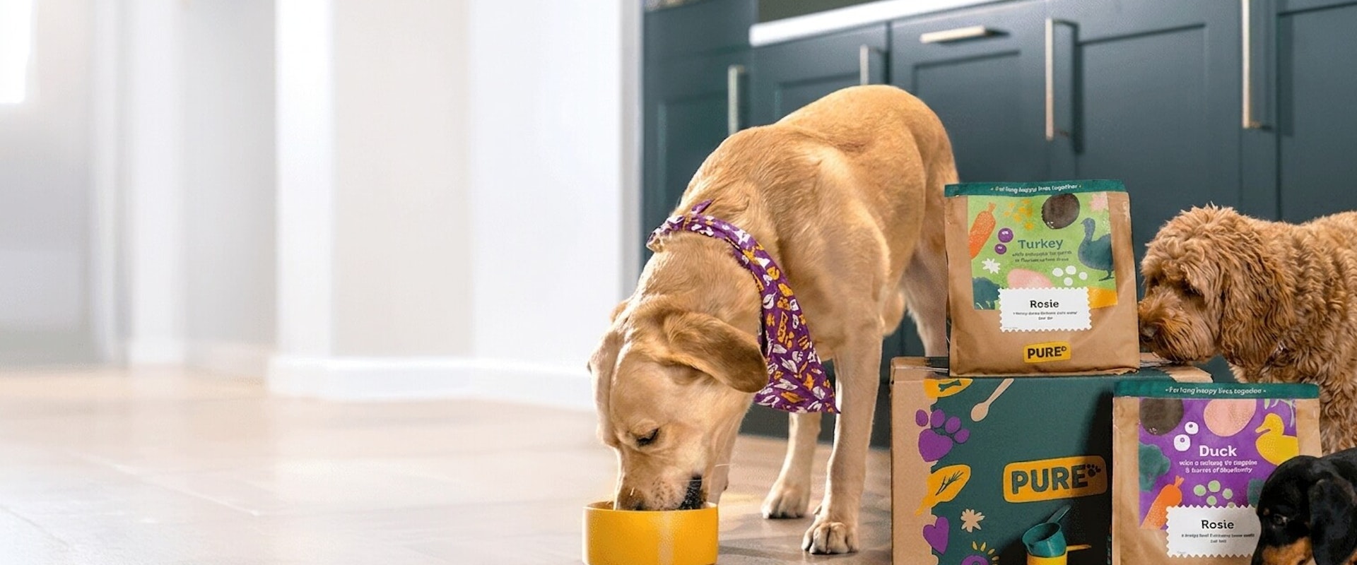 Pure Pet Food