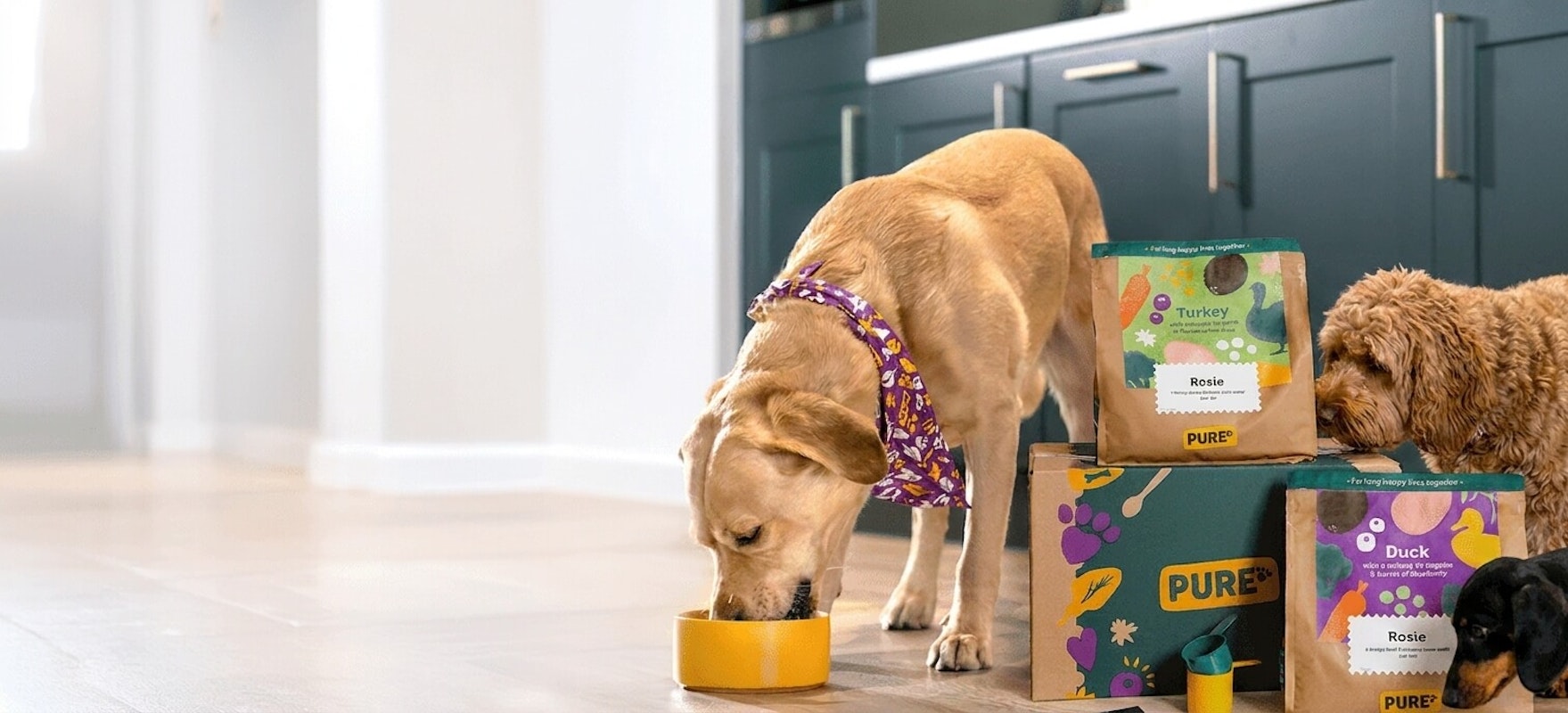 Pure Pet Food