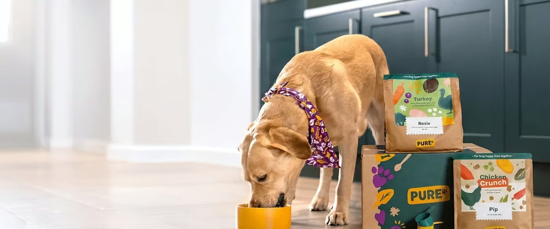 Pure Pet Food