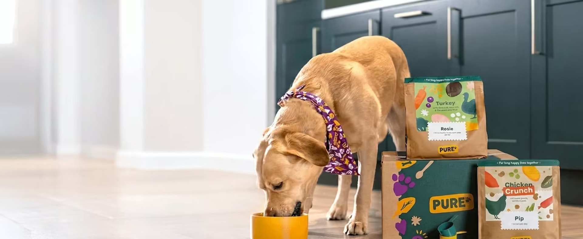 Pure Pet Food