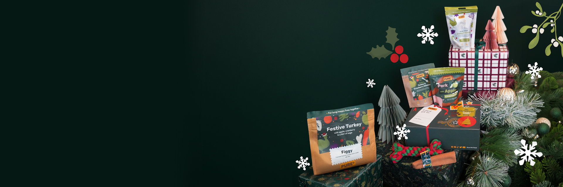 christmas header