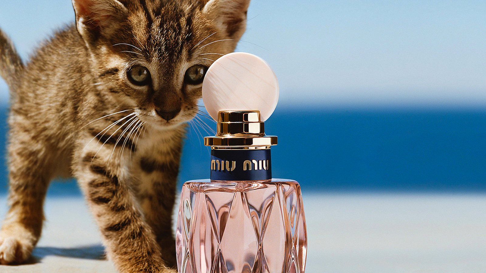 Miu miu lily online of the valley perfume