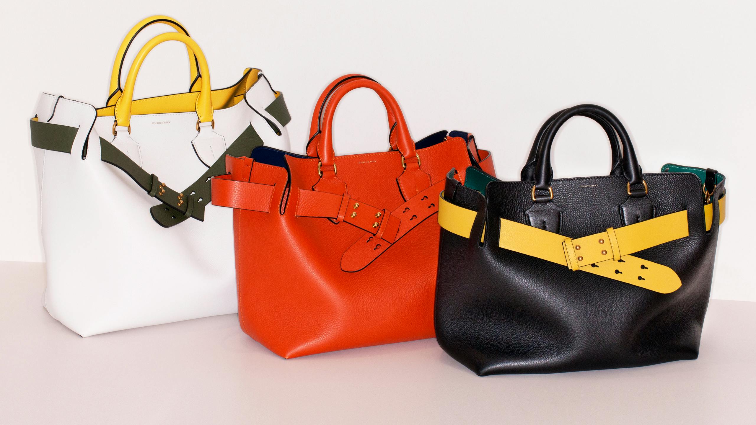 On Our Hit List: The Burberry Belt Bag display picture 3