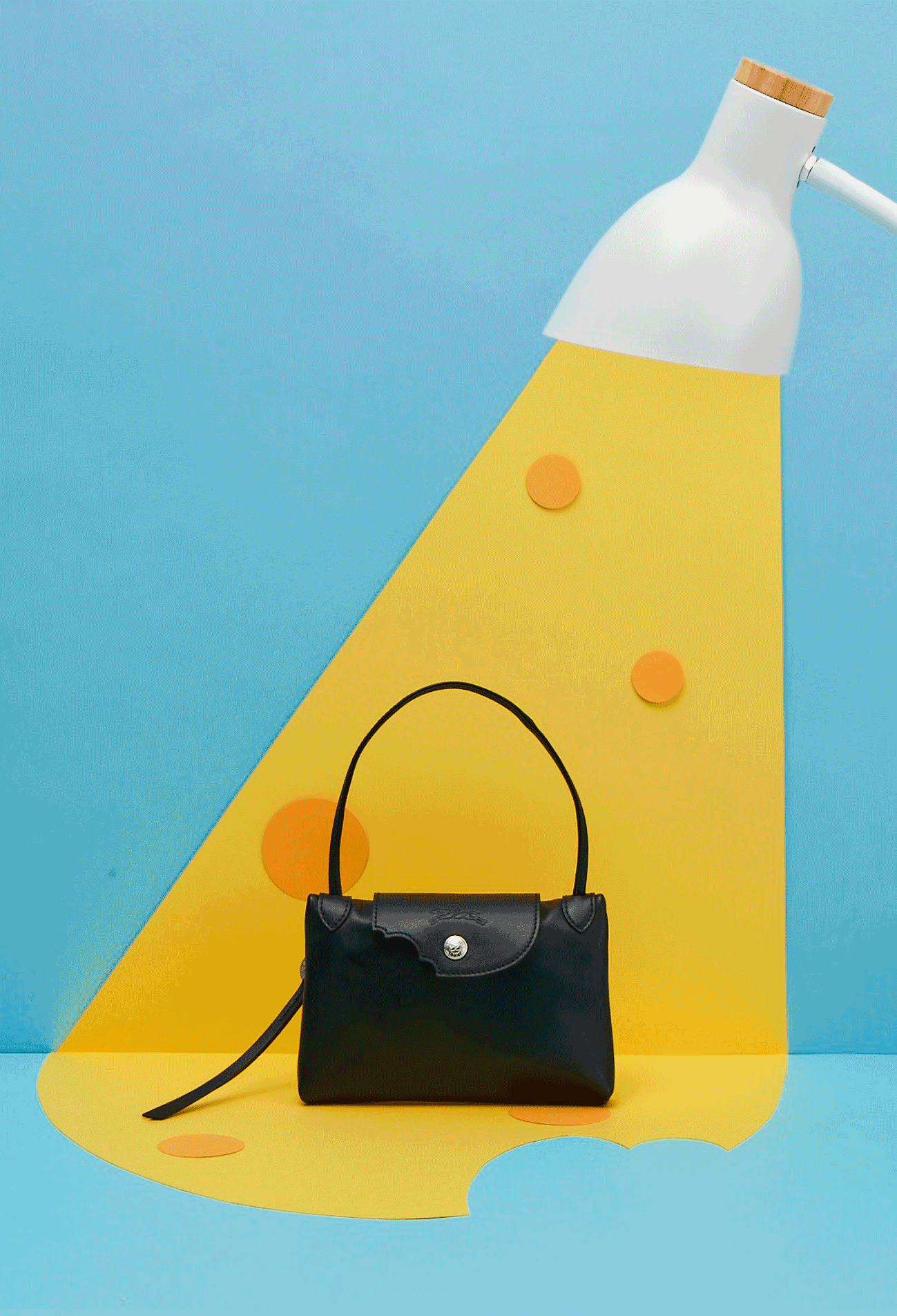 longchamp cheese bag