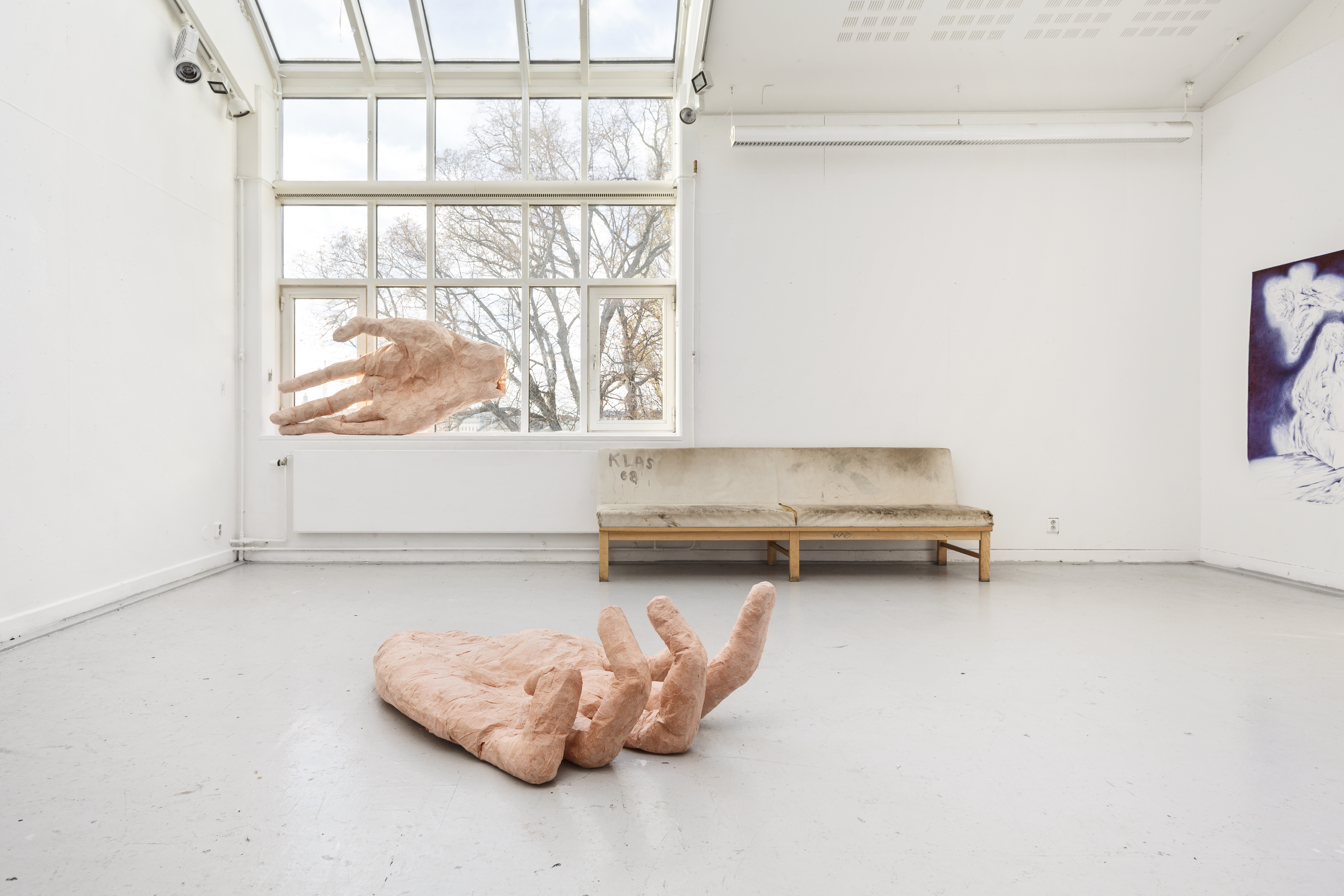 Chiroyli joja qora tanni soradi