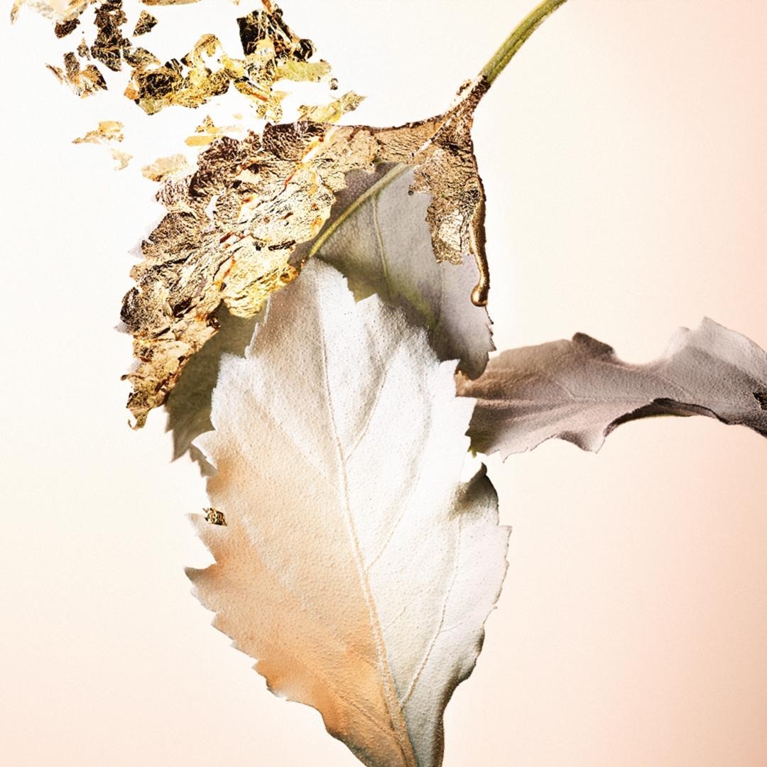 bvlgari patchouli tentation yorum